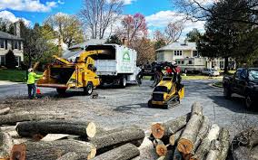 Best Emergency Tree Removal  in Muse, PA